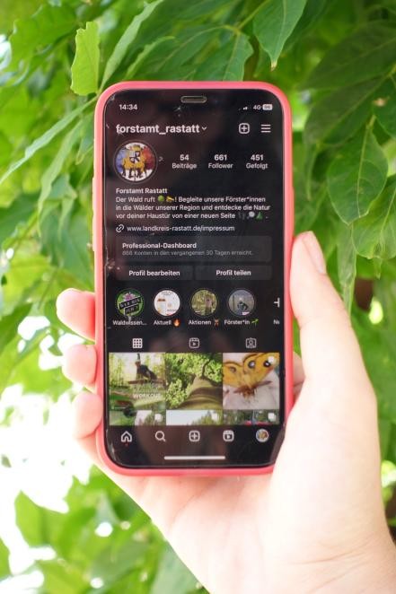 Das Foto zeigt das Instagram-Profil des Forstamts. (Bild: V. Böhner)