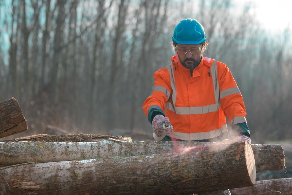 Das Foto zeigt einen Arbeiter, der einen Baumstamm mit Farbe markiert.