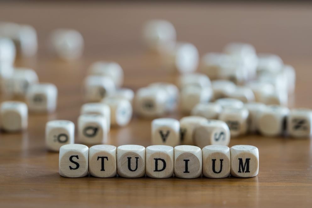 Das Foto zeigt verschiene Würfel mit Buchstaben, die das Wort STUDIUM bilden.