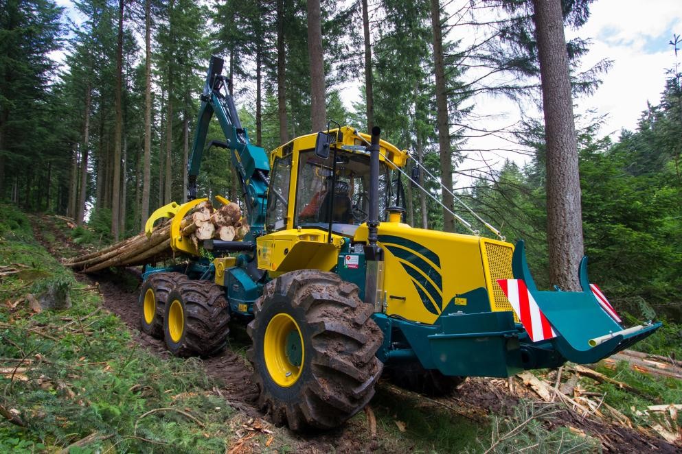 Das Foto zeigt einen gelben Traktor, der mitten im Wald umgeben von Bäumen mehrere Baumstämme abtransportiert.