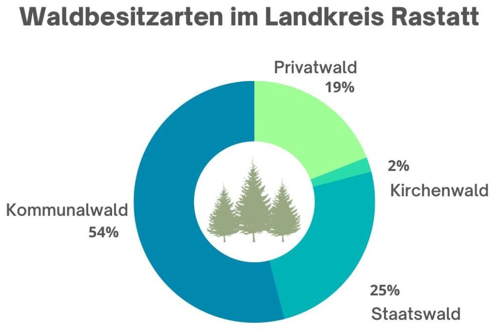 Grafik Waldbesitzarten Das Foto zeigt eine Grafik der Waldbesitzarten