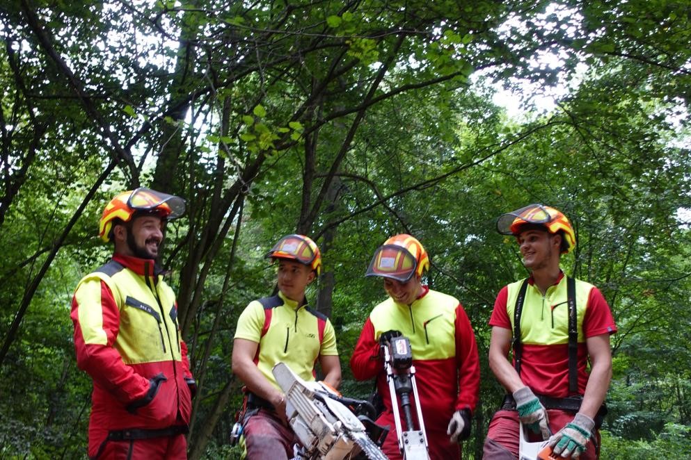 Das Foto zeigt vier Männer in Arbeitskleidung bei Forstarbeiten. (Foto: V. Böhner)