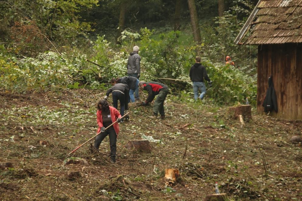 Das Foto zeigt Frauen und Männer in Arbeitskleidung, die in einem Wald Äste, Gebüsch und Blätter entfernen.