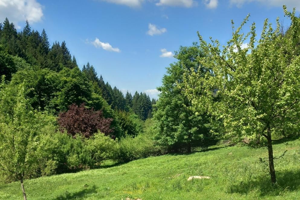 Halboffene, strukturreiche Landschaft im Murgtal als Jagdhabitat für Greifvögel und Fledermäuse. Foto: Eva Ostertagtag Halboffene, strukturreiche Landschaft im Murgtal als Jagdhabitat für Greifvögel und Fledermäuse. Foto: Eva Ostertagtag