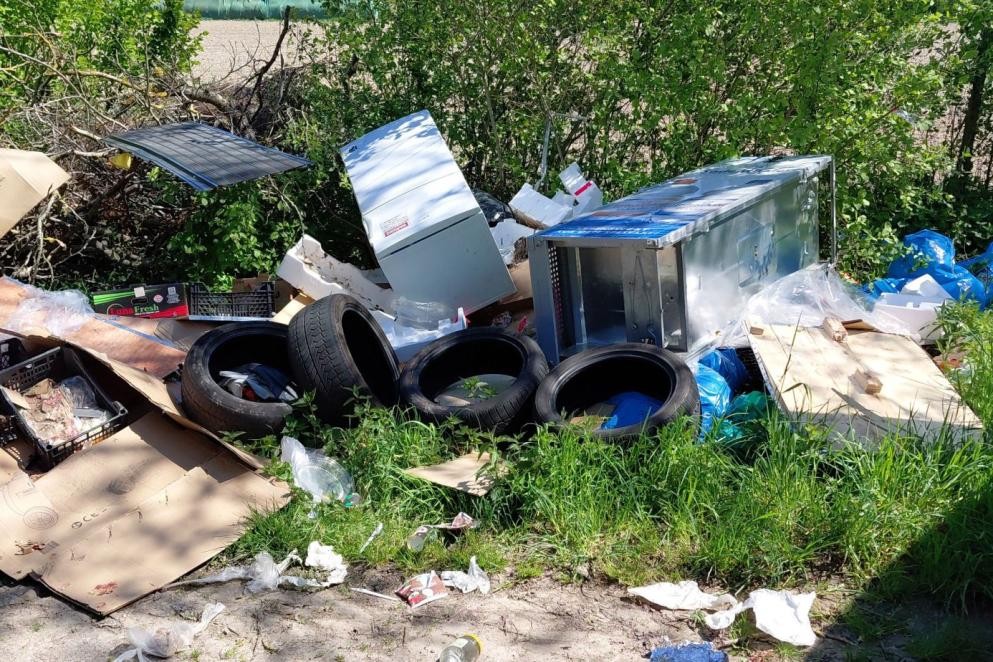 Illegale Ablagerungen an einem Feldweg in Iffezheim (Fo-to: AWB Landkreis Rastatt) Illegale Ablagerungen an einem Feldweg in Iffezheim (Fo-to: AWB Landkreis Rastatt)