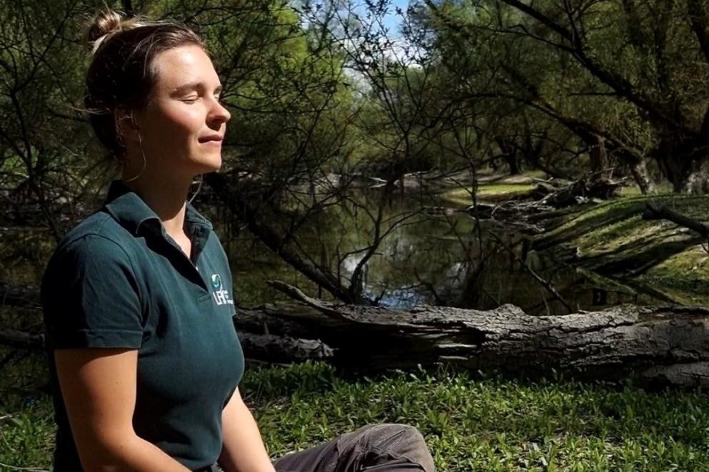 Waldbaden tut Körper und Seele gut (Foto: Jerusha Senk/LRA) Das Foto zeigt eine im Schneidersitz auf dem Boden sitzende Frau beim Waldbaden. (Foto: Jerusha Senk/LRA)