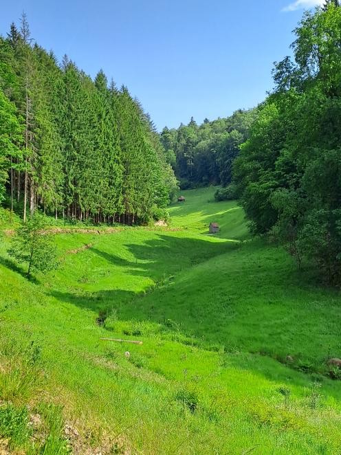 Weisenbacher Steig - An den charakteristischen Heuhütten vorbei kommen Wanderer bei der Route „rechts der Murg“. (Foto: Holger Staib) Das Foto zeigt zwei charakteristische Heuhütten. (Foto: Holger Staib)