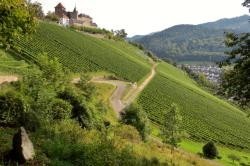 Schloss Eberstein in Gernsbach Das Foto zeigt das Schloss Eberstein in Gernsbach