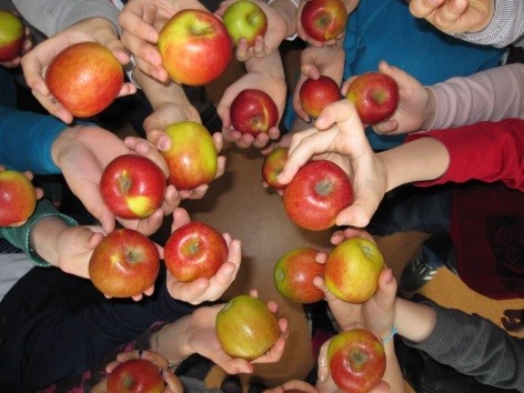 Das Foto zeigt Hände mit roten Äpfeln.