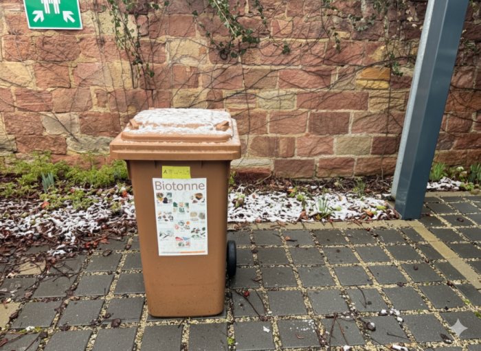 Eine zugefrorene Biotonne. Foto: Melissa Männle/AWB Rastatt